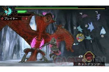 Monster Hunter Portable 3rd 009