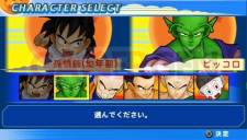 Dragon Ball Z Tenkaichi Tag Team 003