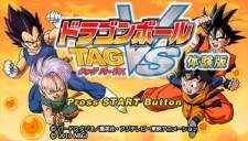 Dragon Ball Z Tenkaichi Tag Team 006