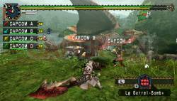 monster-hunter-freedom10