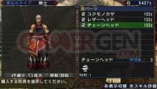 Monster Hunter Portable 3rd Village 008