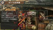 Monster Hunter Portable 3rd Village 009