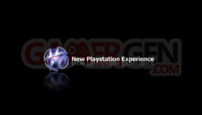 New Playstation Experience - 500 - 1