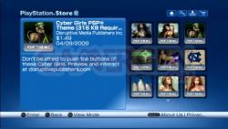 Playstation Store US (16)